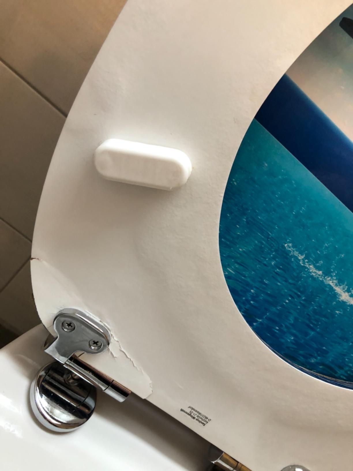 Nett für Gäste-WC