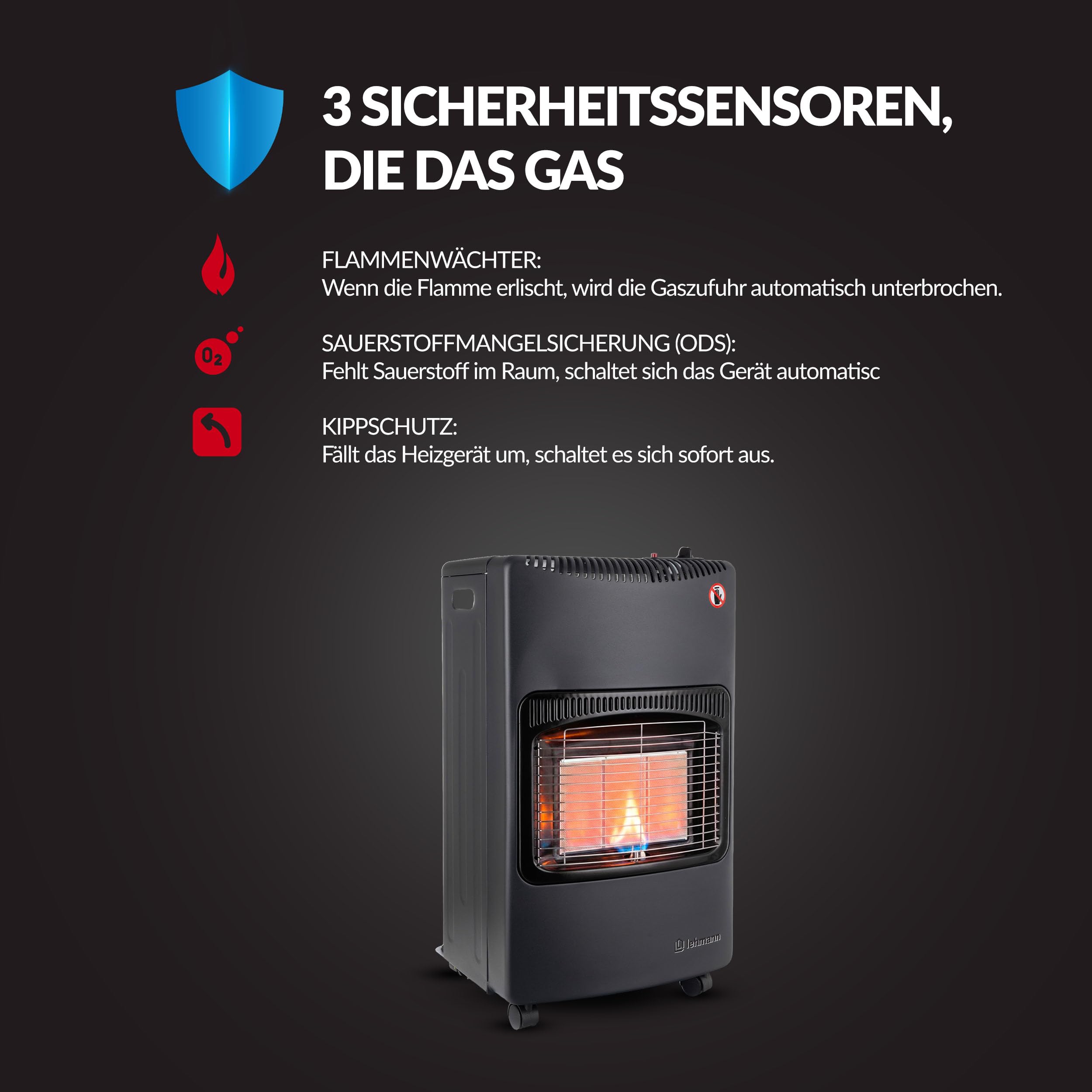 lehmann-noel-gasheizer-4-2-kw-infrarot-f-r-80-m image 5