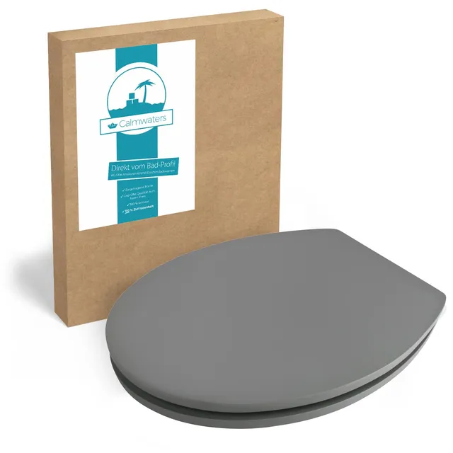 calmwaters-26lp5387-wc-sitz-grau-anthrazit-holzkern image 1