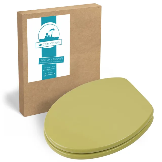 calmwaters-modern-wellness-wc-sitz-26lp2770-gr-n-holzkern image 1