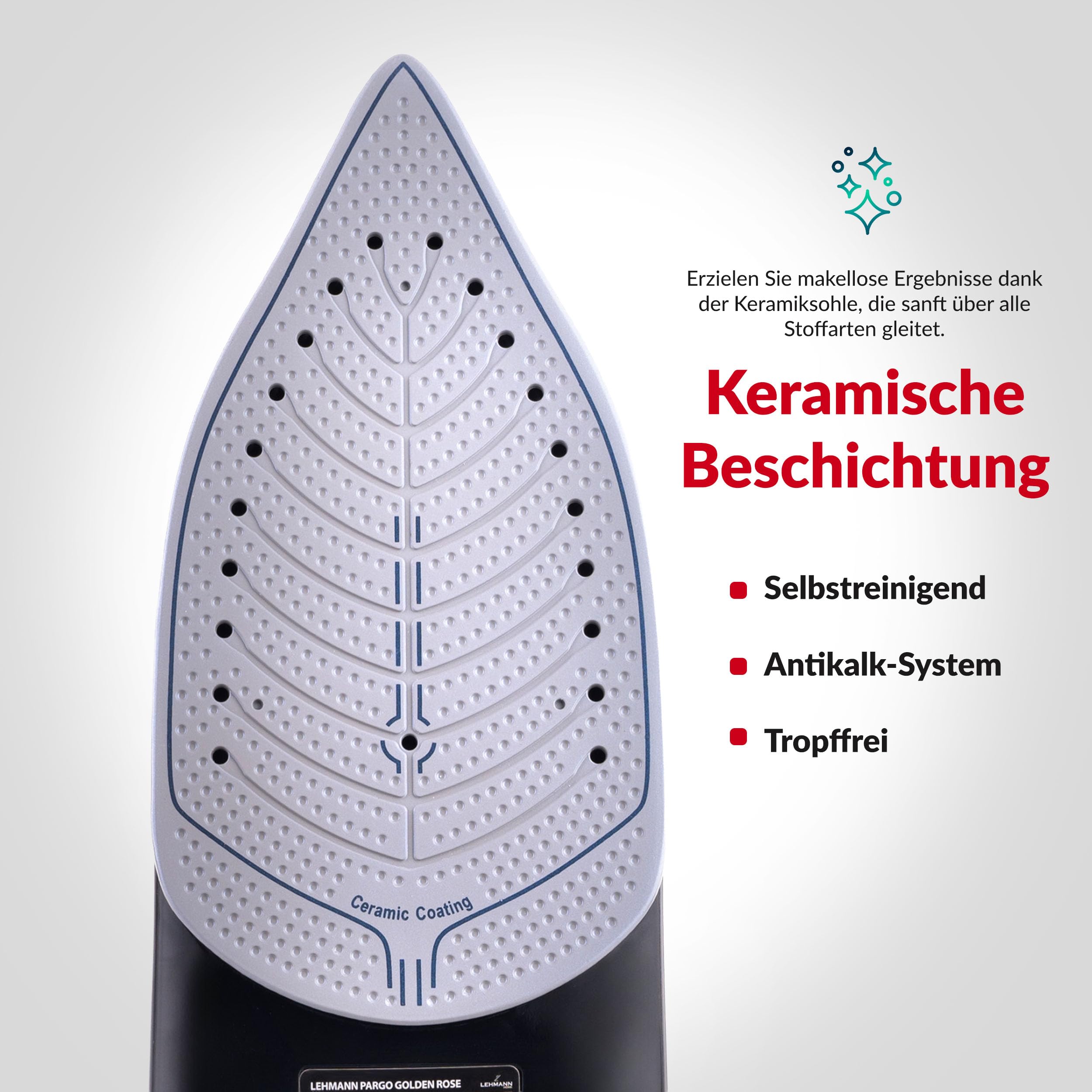 lehmann-dampfb-geleisen-kabellos-3000-w-schwarz-ros-gold image 5